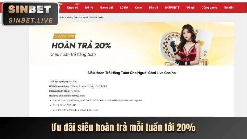 Phân tích ưu đãi mới nhất từ bet20 win